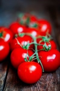 Tomat och Regnbågslax för miljö tas tram i Peckas naturodlingar